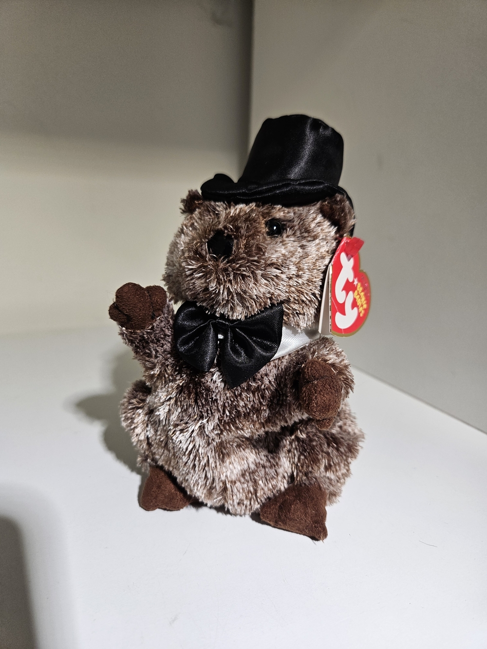 Ty Beanie Baby PUNXSUTAWNEY PHIL 2008 the Groundhog